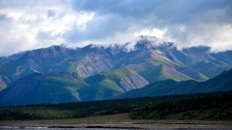 Denali Sanctuary River 11x20 COL_0046.JPG