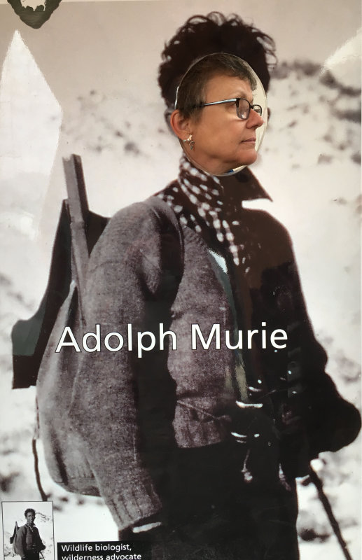 K Adolph Murie IMG_2608.JPG