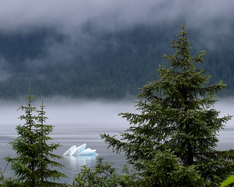 Mendenhall Iceberg 8x10 COL_0582.JPG