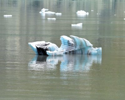 Glacier Bay Iceberg COL_0419.JPG