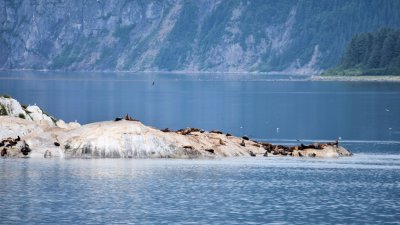 Glacier Bay Marble Isl 9x16 COL_0502.JPG