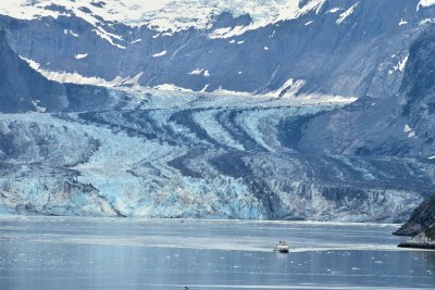 Johns Hopkins Glacier COL_0348.JPG