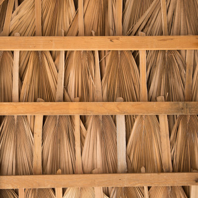 Palapa roof detail