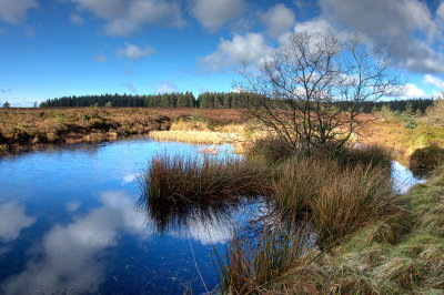 0228-frozen-pond.jpg