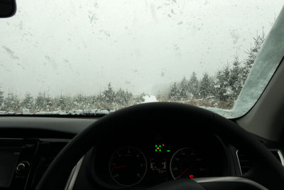snow-falling.jpg