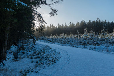 snow-footsteps.jpg