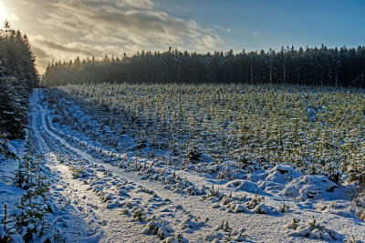 snow-mad-hdr.jpg
