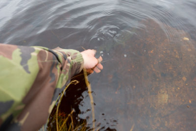 fish2.jpg