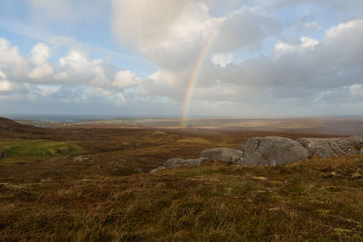 rainbow (2).jpg