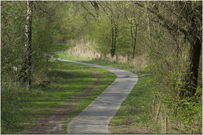 Fietspad door de Weerribben