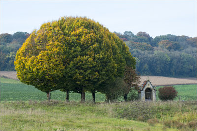 Herfst bij de Sint Jansboskapel