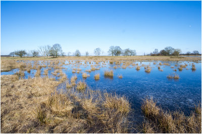 Dwingelderveld 25/2