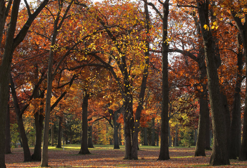 Wirth Pkwy copy.jpg