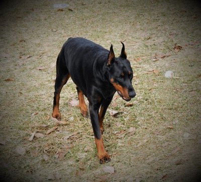 Leila, my baby girl