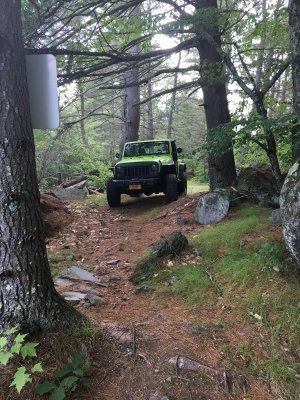 IMG_3314.jpg