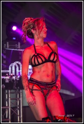 DSC_9366A.jpg