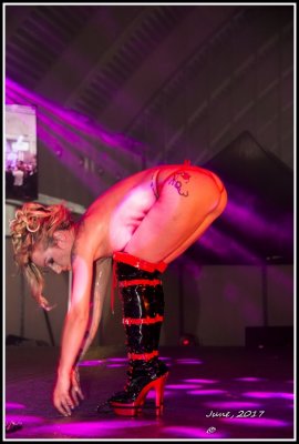 DSC_9373A.jpg