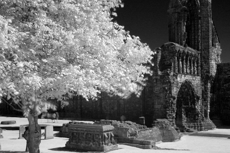 St Andrews Cathedral IR 4