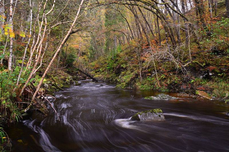 DSC_9684_edit1_pbase.jpg