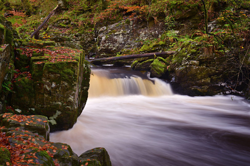 DSC_9766_edit1_pbase.jpg
