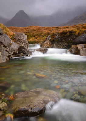 DSC_3072_plus_crop1_pbase.jpg