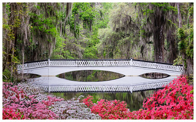 Charleston  Composite 0f Magnolia Gardens Bridge and Azelias.jpg