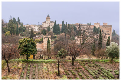 22_View from Alhambra to Cathedral .jpg