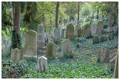 Trebic  Jewish Cemetery
