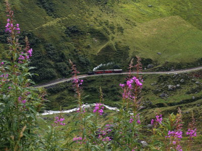 g10/68/920368/3/166282385.5ZooQsYi.jpg