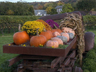 Halloween Truck