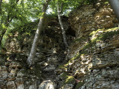 Rocks and trees