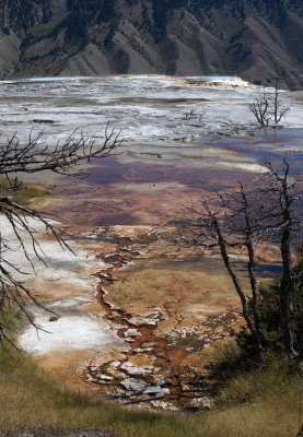 Colourful runoff near the Canary spring