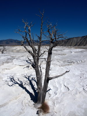 Hot springs landscape