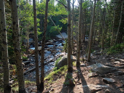 Aspen and Glacier Creek