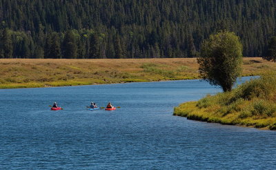 Canoeing on the Snake River