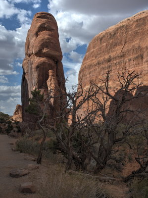 Along the trail to Landscape Arch