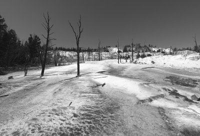 Landscape near Mammoth Hot Springs