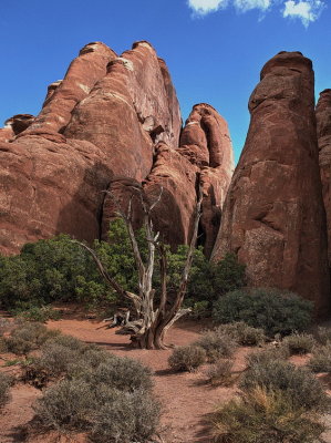 Entrance to the little canyon that leads to the Sand Dune Arch