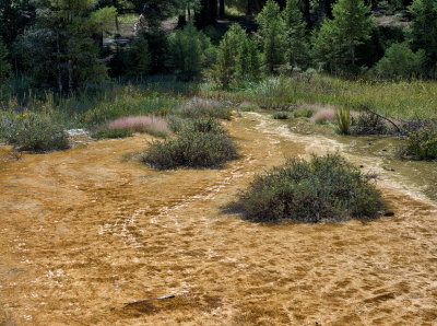 Colourful runoff