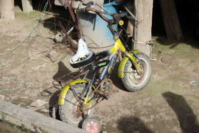 AMAZONIAN DIRT BIKE