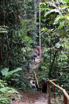 TERRAIN IN THE FOREST