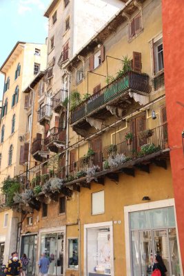 PIAZZA DELLA ERBE