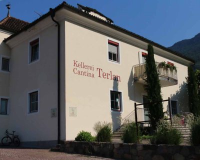 CANTINA TERLANO