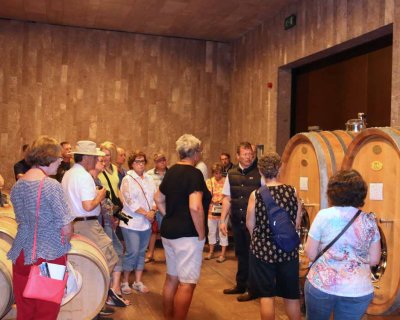 CANTINA TERLANO