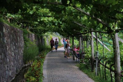 THE GARDENS OF CASTEL TRAUTTMANSDORF