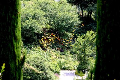 THE GARDENS OF CASTEL TRAUTTMANSDORF