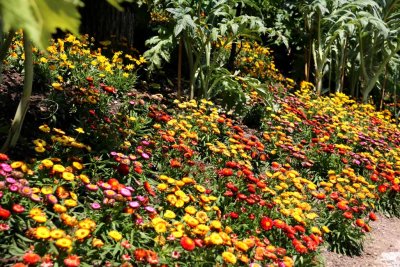 THE GARDENS OF CASTEL TRAUTTMANSDORF