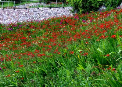 THE GARDENS OF CASTEL TRAUTTMANSDORF