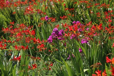 THE GARDENS OF CASTEL TRAUTTMANSDORF