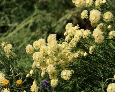 THE GARDENS OF CASTEL TRAUTTMANSDORF